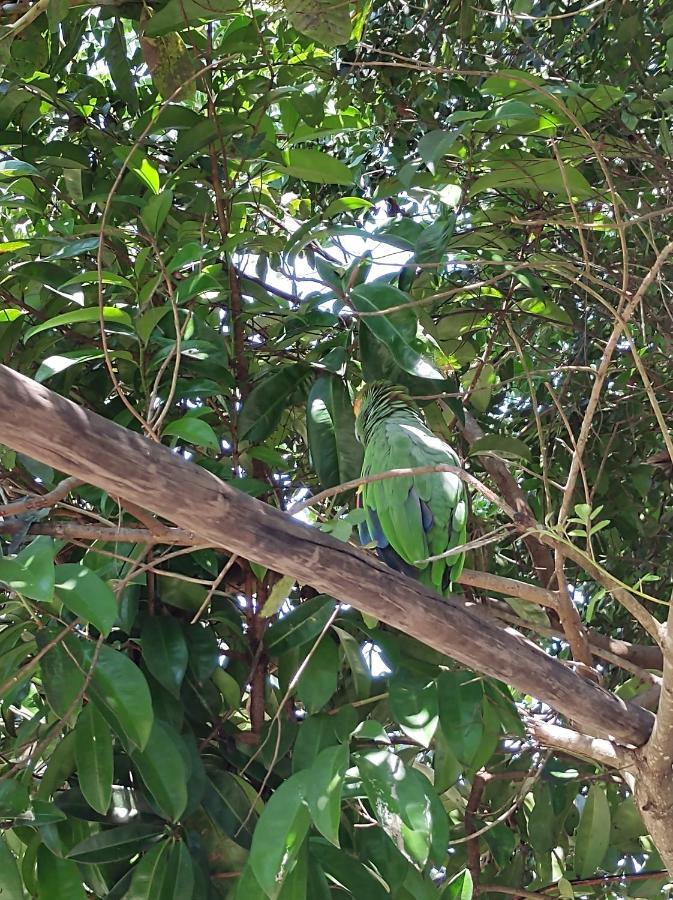 Pousada Quintal Dos Sonhos Xando Caraiva Bagian luar foto