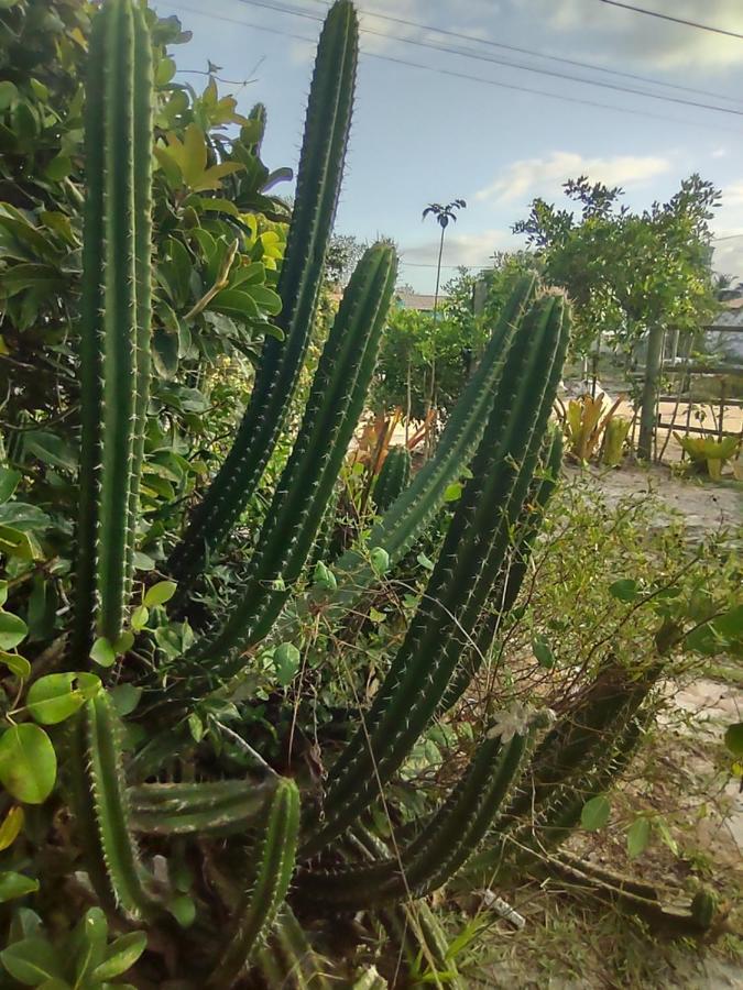 Pousada Quintal Dos Sonhos Xando Caraiva Bagian luar foto
